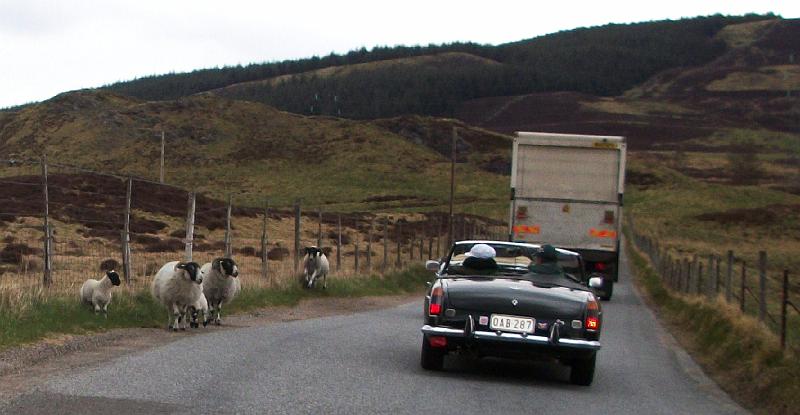 Perth-Aviemore, overzicht dag3, (63).JPG
